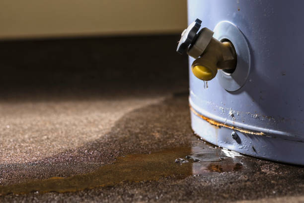 Best Water damage restoration experts  in Swansboro, NC