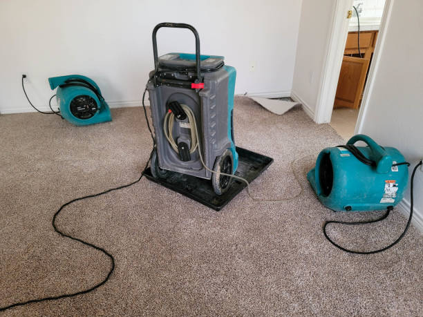 Best Professional water damage repair  in Swansboro, NC