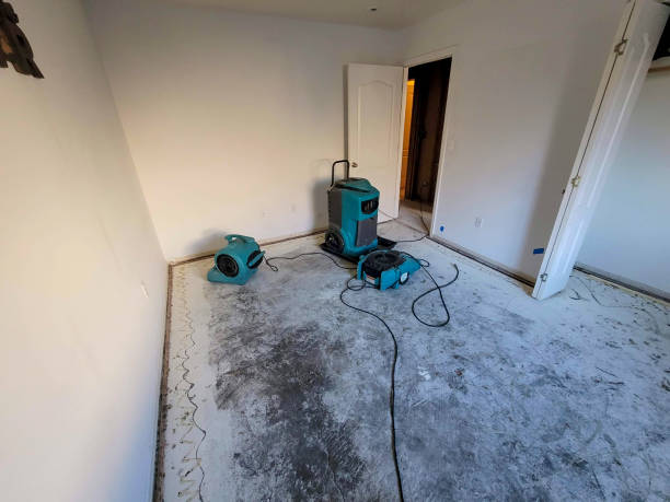 Best 24/7 water damage repair  in Swansboro, NC