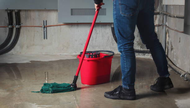 Best Flooded house restoration  in Swansboro, NC