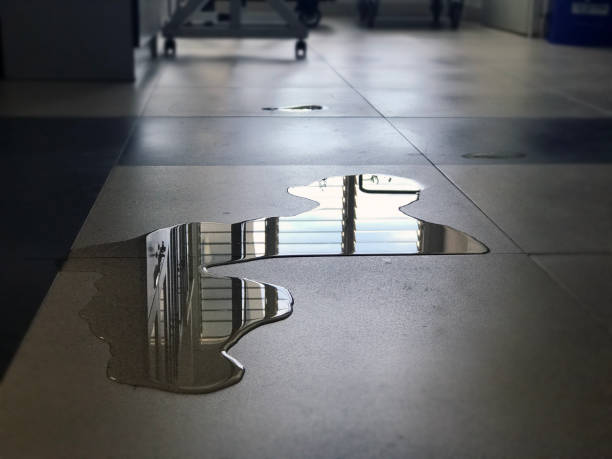 Best 24-hour water damage restoration  in Swansboro, NC