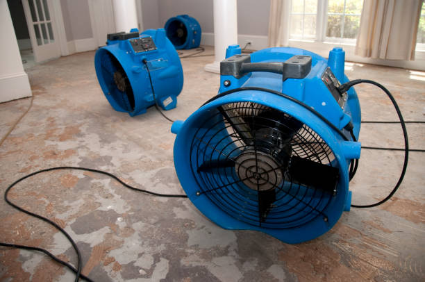 Best Water damage restoration specialists  in Swansboro, NC