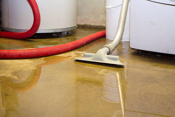Best Sewage cleanup and water damage restoration  in Swansboro, NC