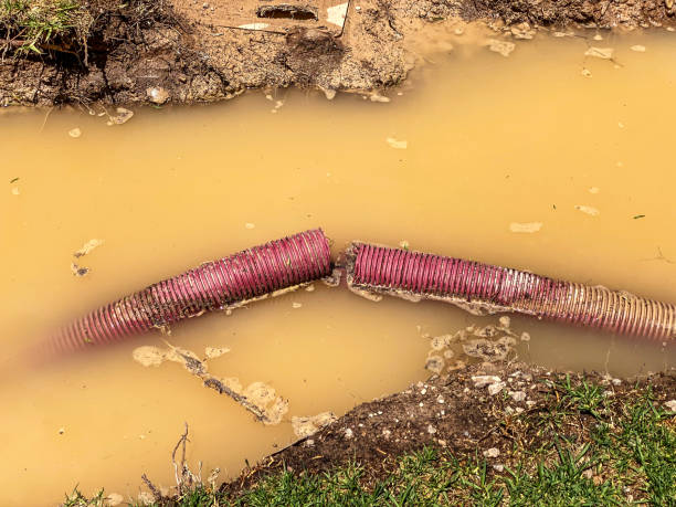Best Water damage restoration near me  in Swansboro, NC