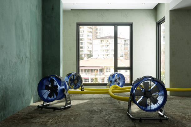 Best Water damage restoration insurance claims  in Swansboro, NC